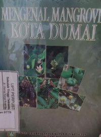 mengenal mangrove kota dumai